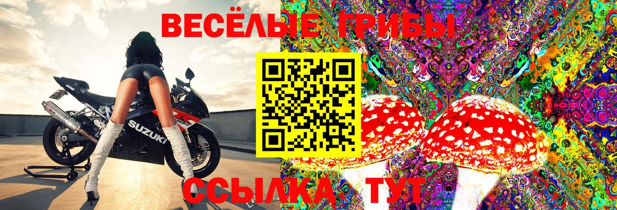 Галлюциногенные грибы Cubensis Керчь