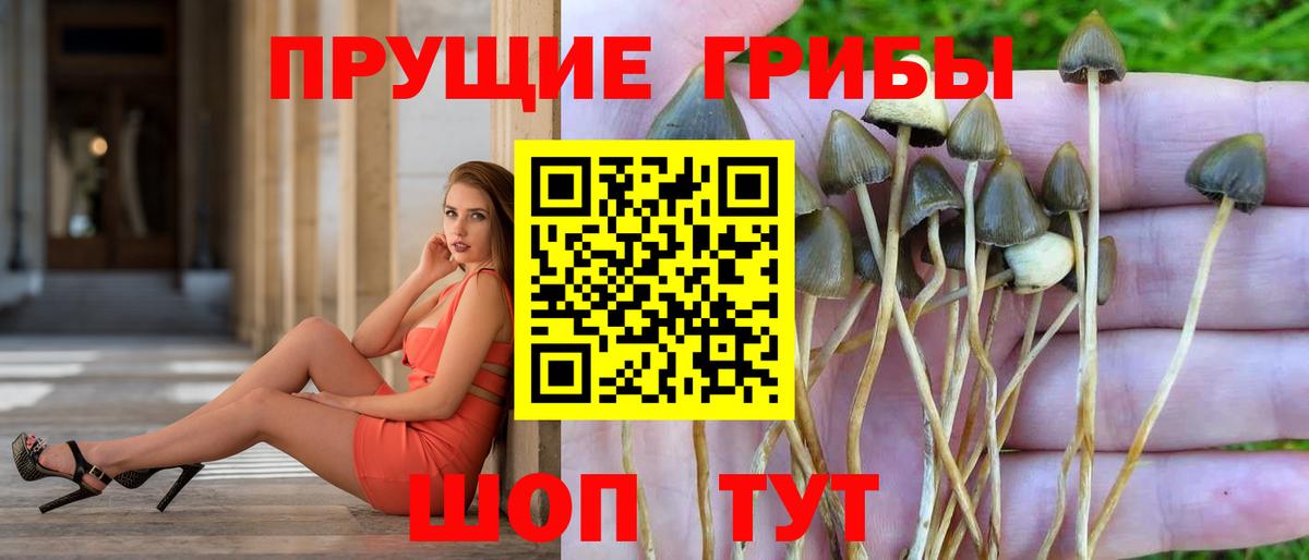 Керчь  Псилоцибиновые грибы GOLDEN TEACHER  Вход с VPN 